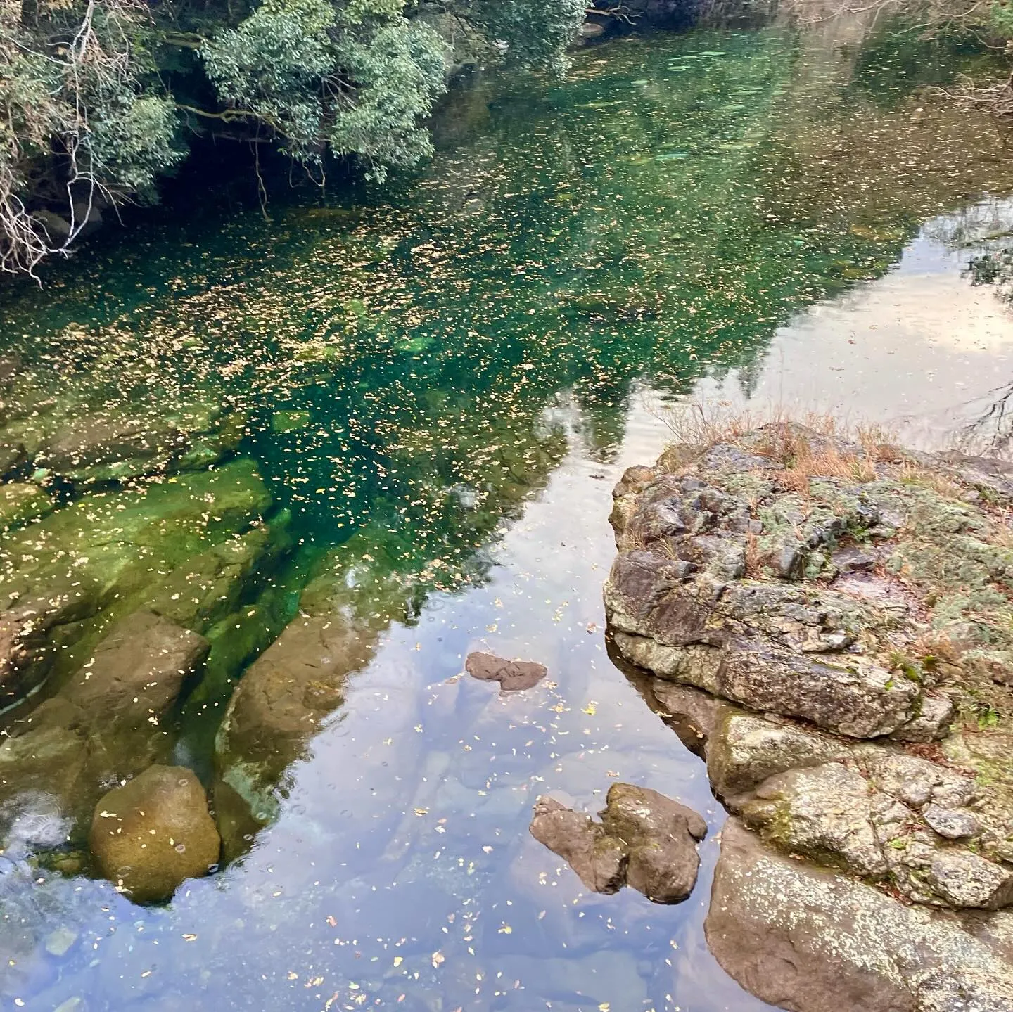 大分県佐伯市の藤河内渓谷✨