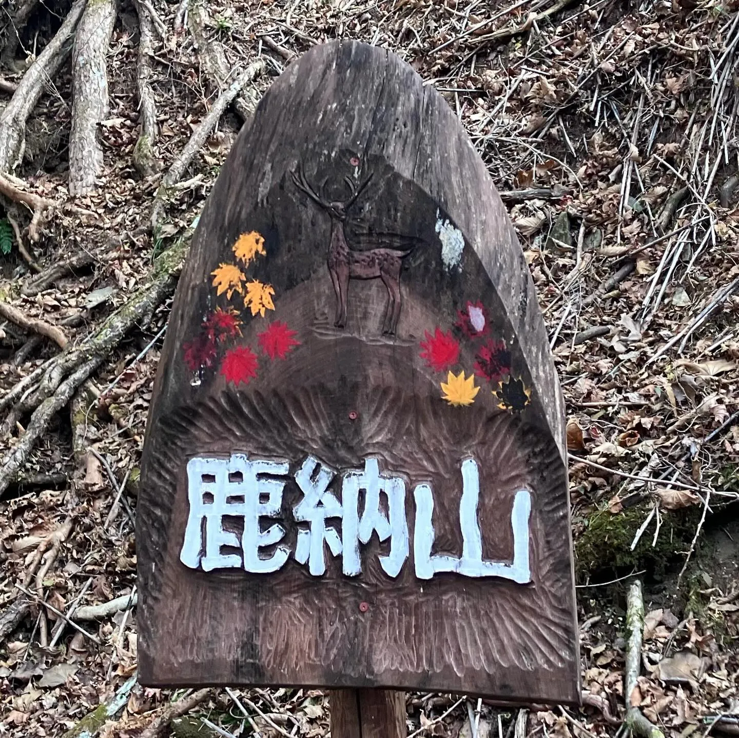 九州の最秘境 鹿納坊主✨