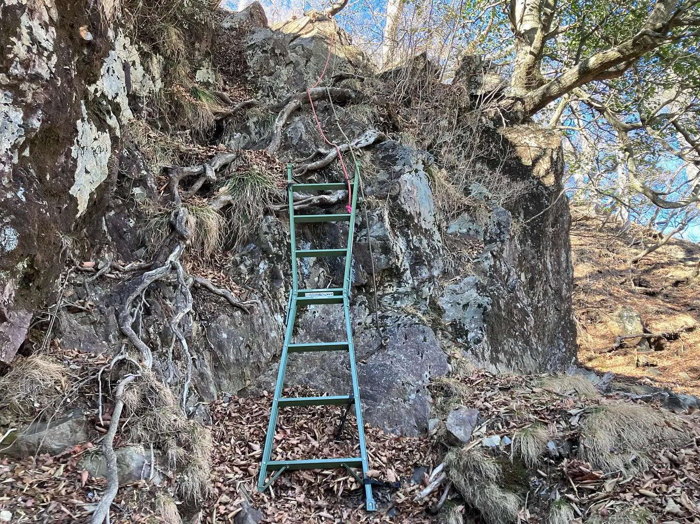 鹿納坊主〜鹿納の野は、とても危険⚠️