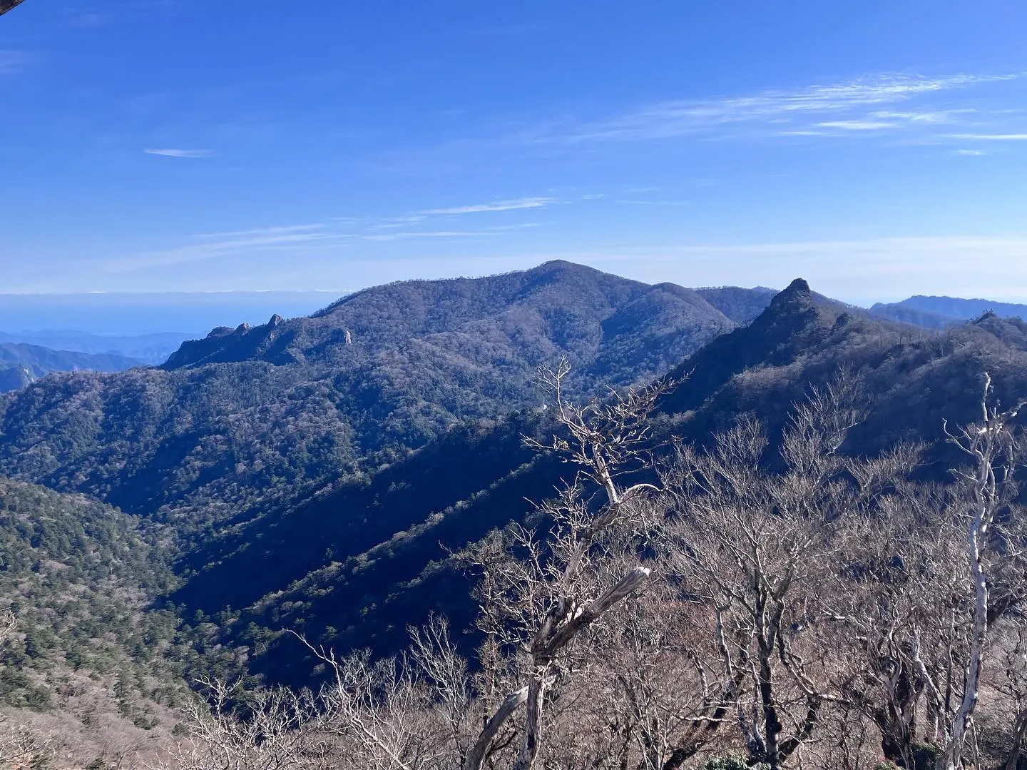 鹿納坊主〜鹿納の野は、とても危険⚠️