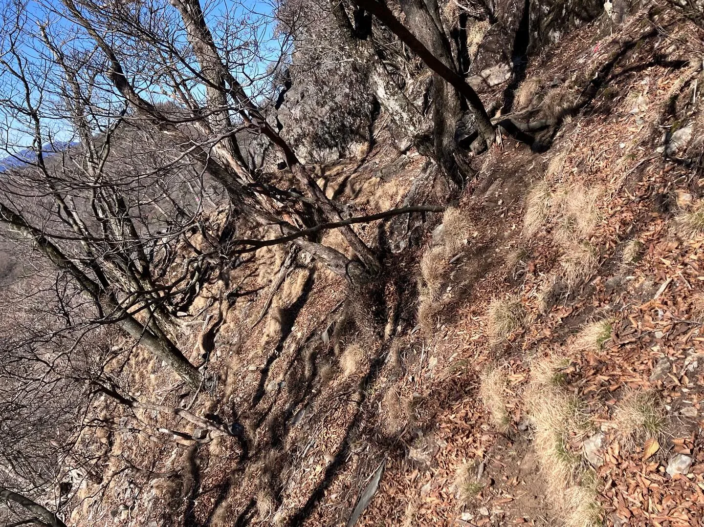 鹿納坊主〜鹿納の野は、とても危険⚠️