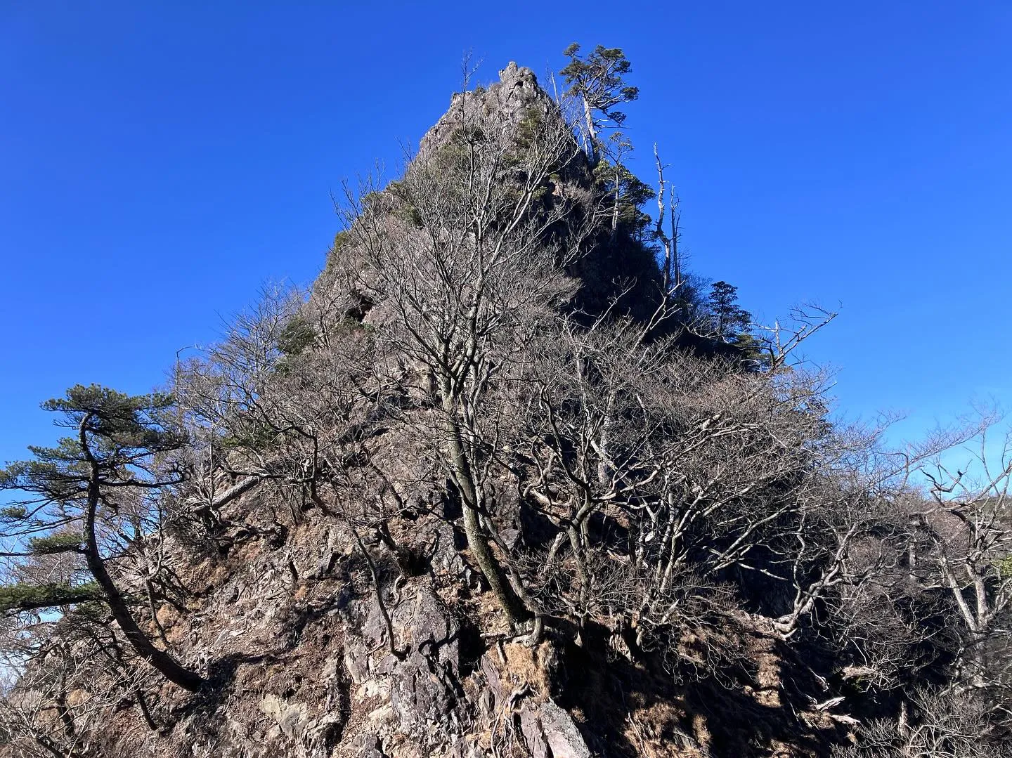 鹿納坊主〜鹿納の野は、とても危険⚠️