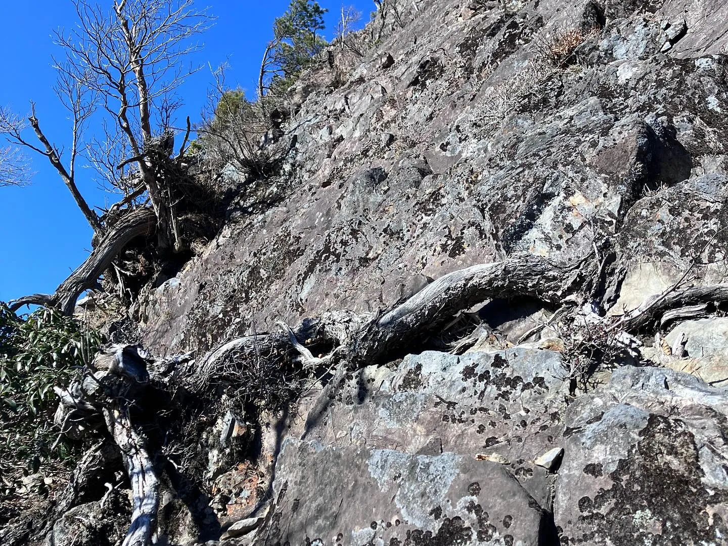 鹿納坊主〜鹿納の野は、とても危険⚠️