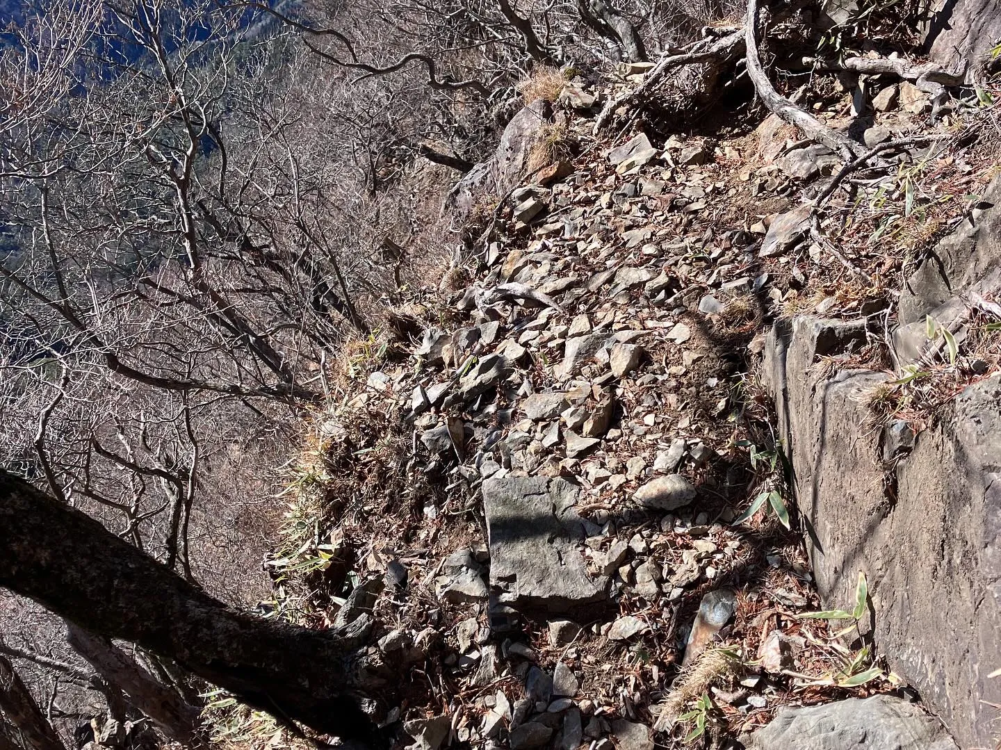 鹿納坊主〜鹿納の野は、とても危険⚠️