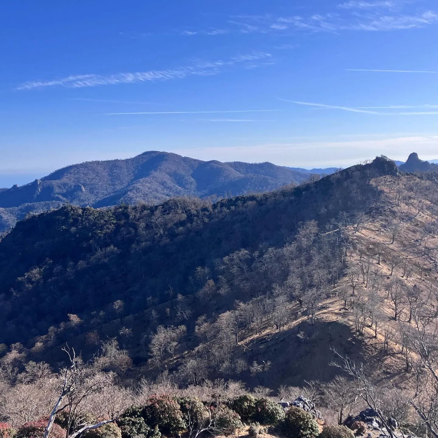 お姫山💕という可愛い名前の男らしい岩峰😆 〜 五葉岳の岩峰を...