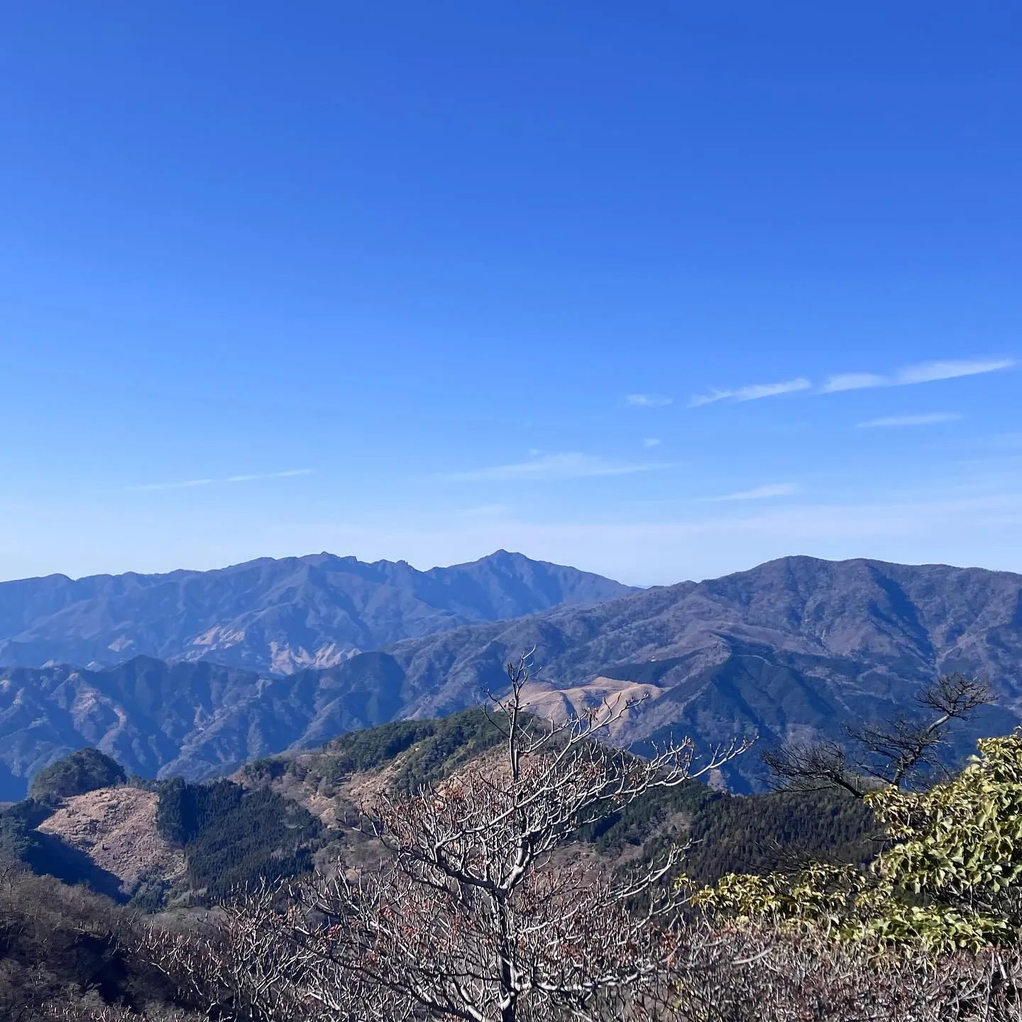 お姫山💕という可愛い名前の男らしい岩峰😆 〜 五葉岳の岩峰を...