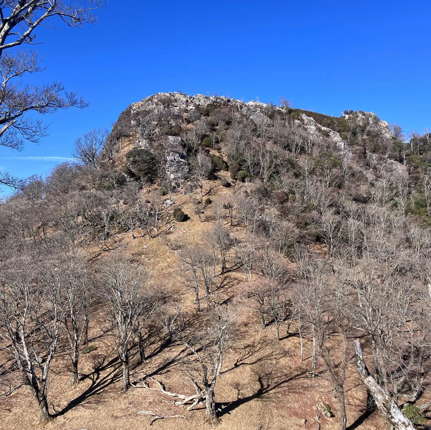 お姫山💕という可愛い名前の男らしい岩峰😆 〜 五葉岳の岩峰を...