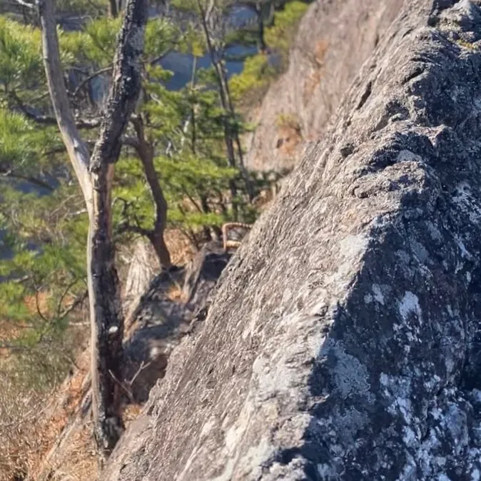 九州最難関・最強コースの夏木山鋸尾根コースの核心箇所 鹿の背...