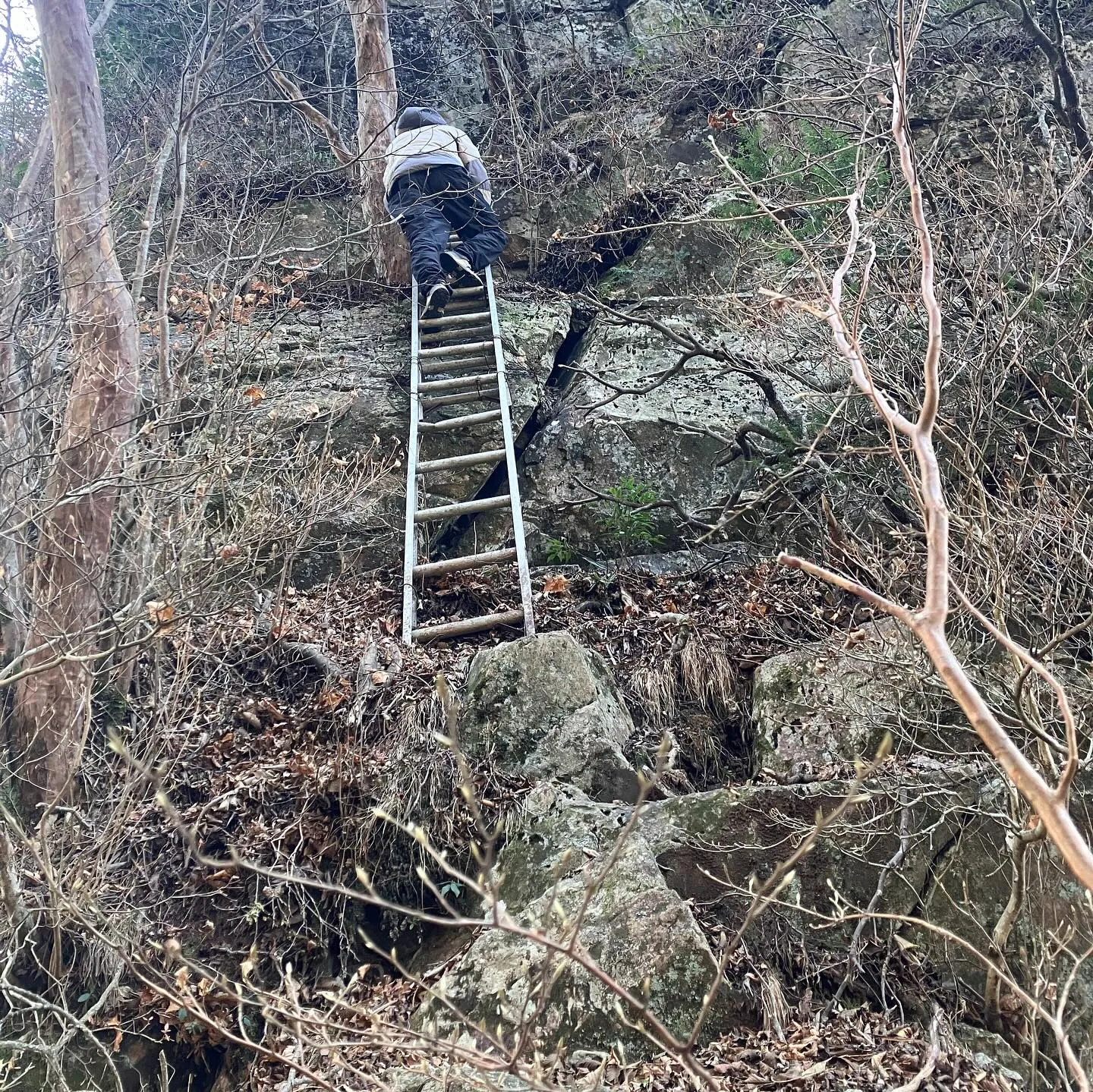 九州最難関 夏木山鋸尾根コース✨