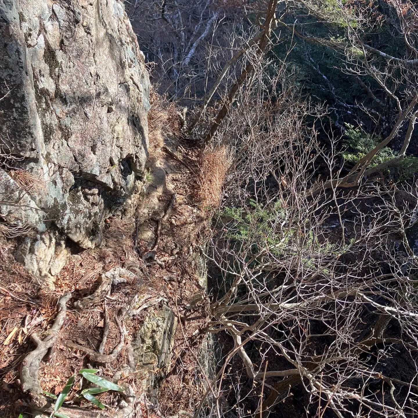 九州最難関 夏木山鋸尾根コース✨