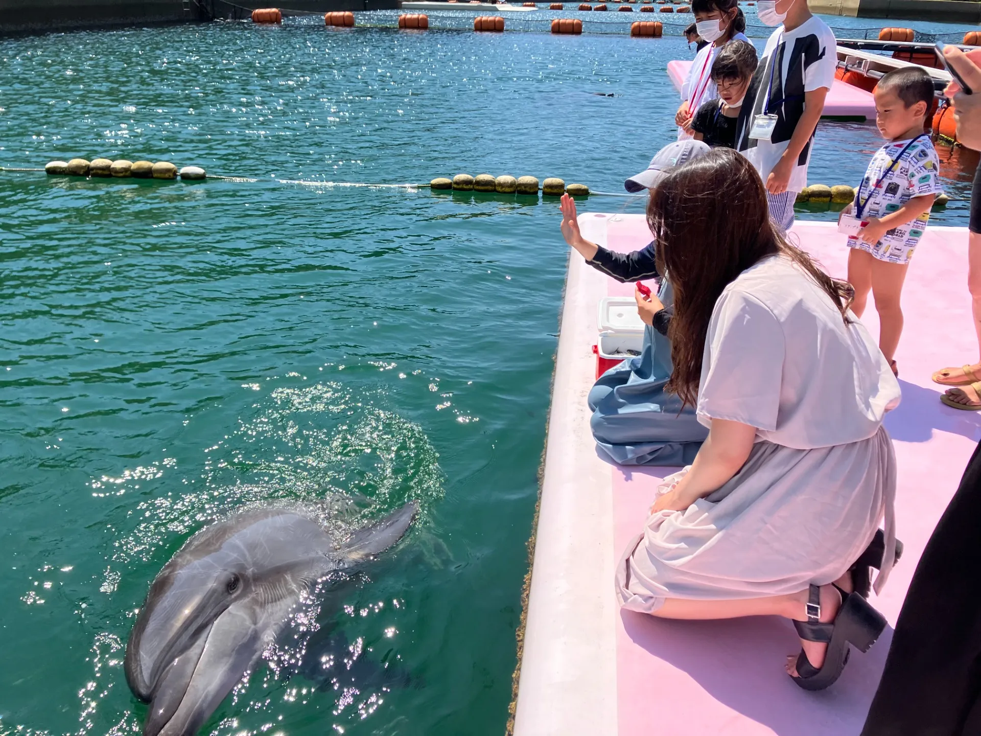 イルカパーク＆リゾート