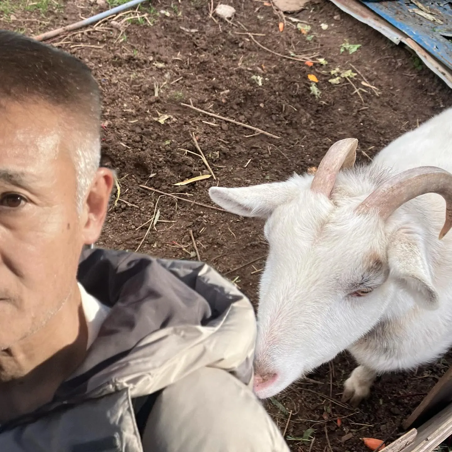 メイちゃん🐐に会いに立花山登山口へ🚙