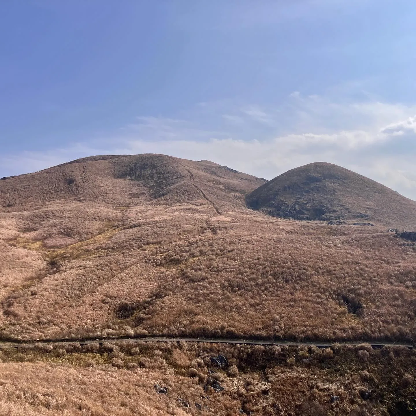 日本三大カルスト 平尾台を散歩🚶‍➡️