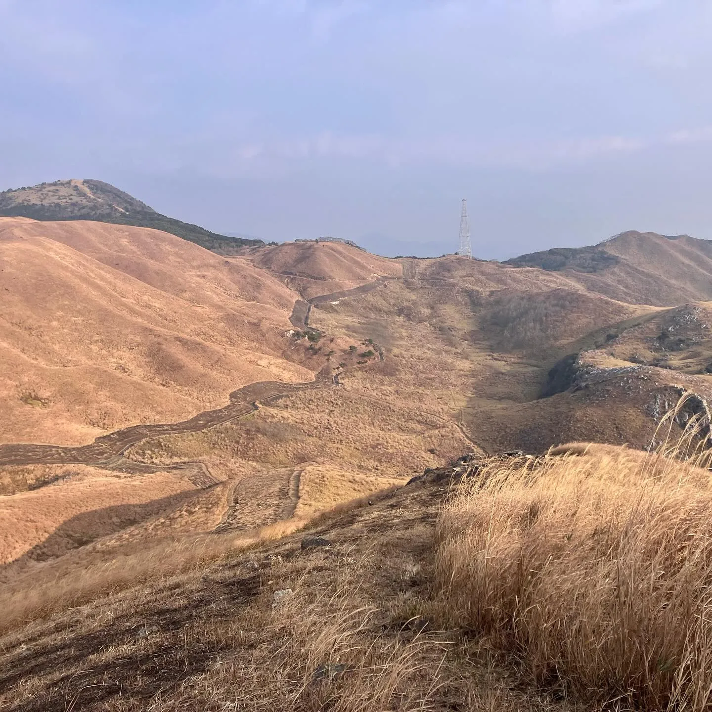 日本三大カルスト 平尾台を散歩🚶‍➡️