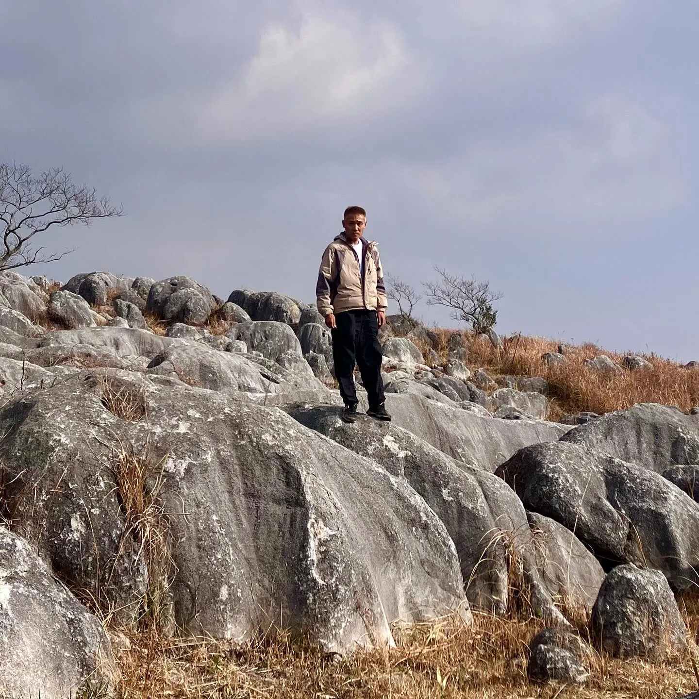 日本三大カルスト 平尾台を散歩🚶‍➡️