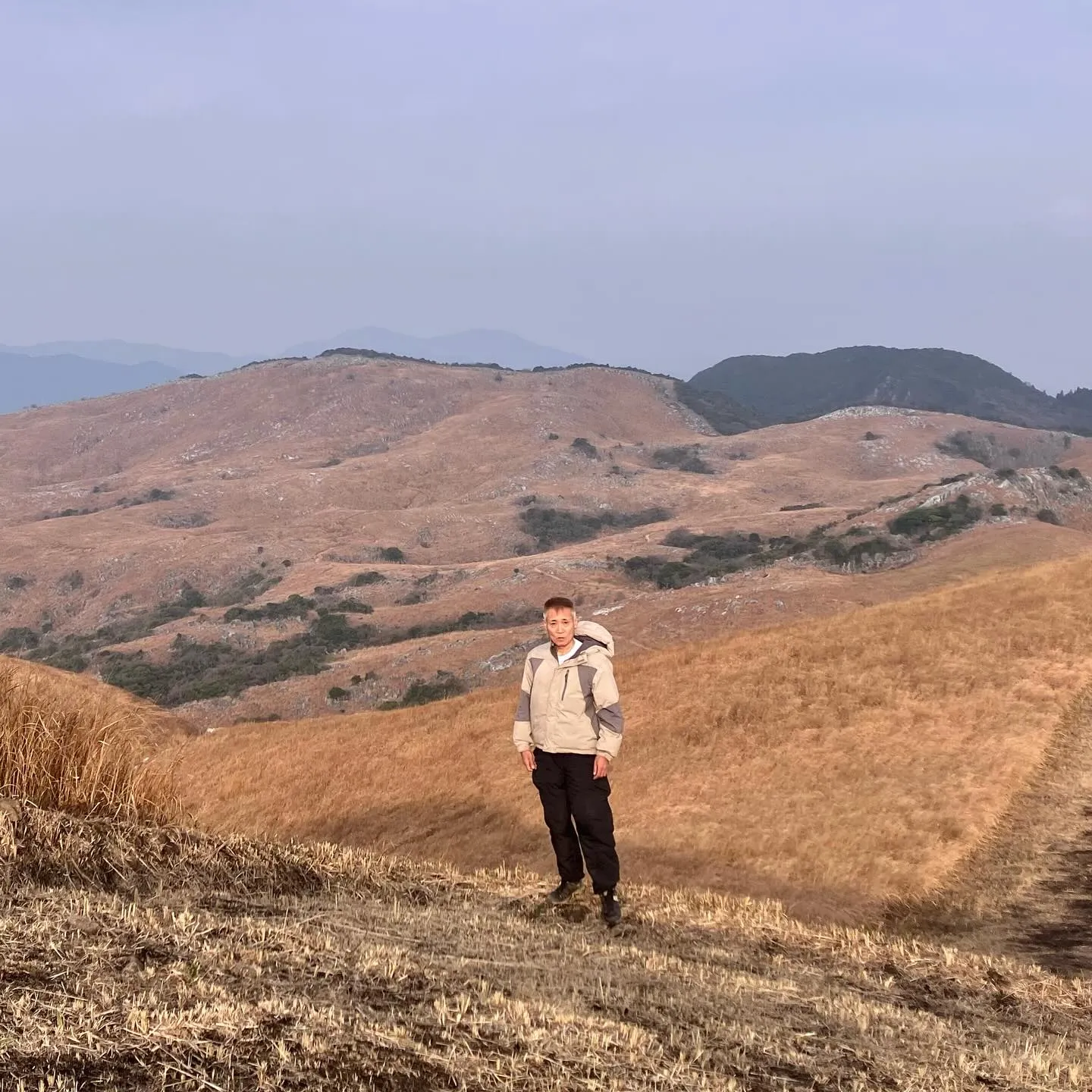 日本三大カルスト 平尾台を散歩🚶‍➡️