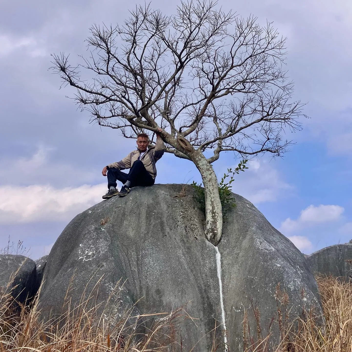 日本三大カルスト 平尾台を散歩🚶‍➡️