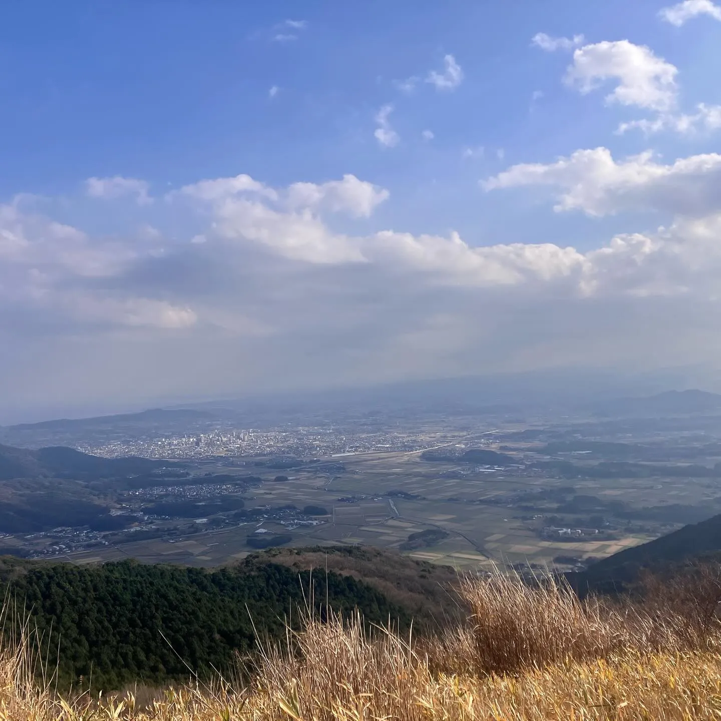 日本三大カルスト 平尾台を散歩🚶‍➡️
