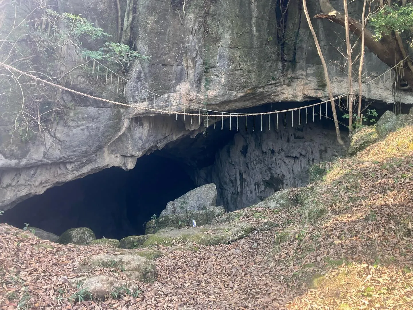 日本三大カルスト 平尾台最大級の鍾乳洞 青龍窟✨