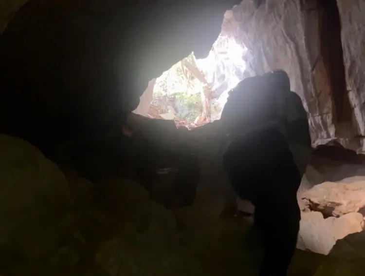 日本三大カルスト 平尾台最大級の鍾乳洞 青龍窟✨