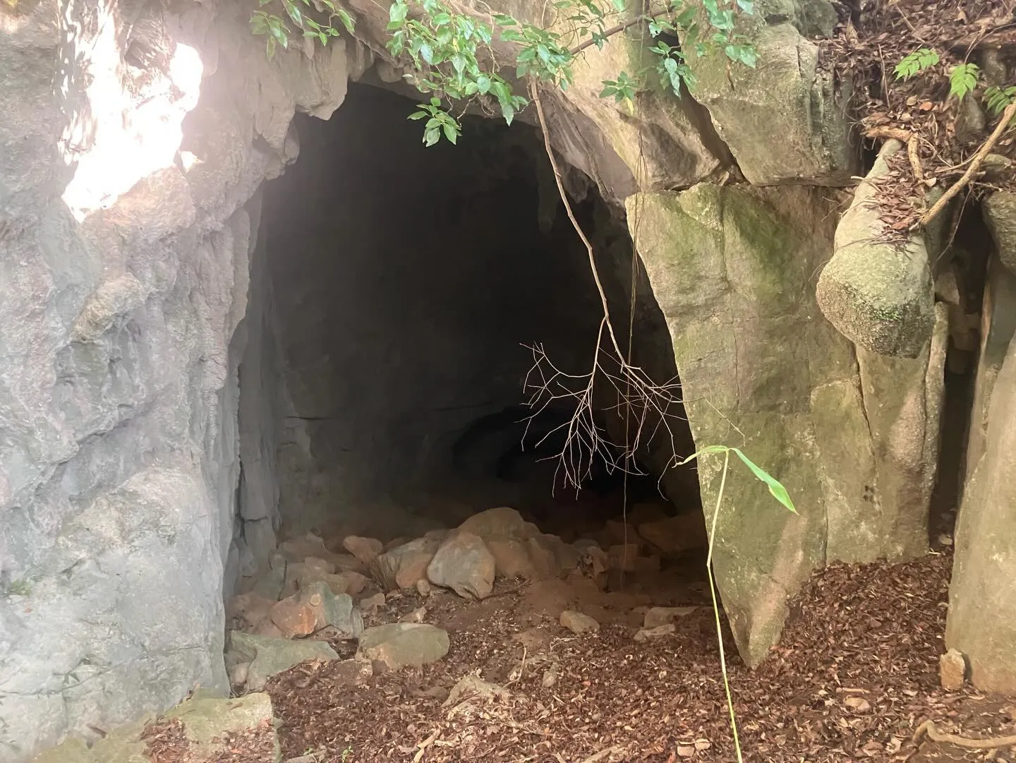 日本三大カルスト 平尾台最大級の鍾乳洞 青龍窟✨