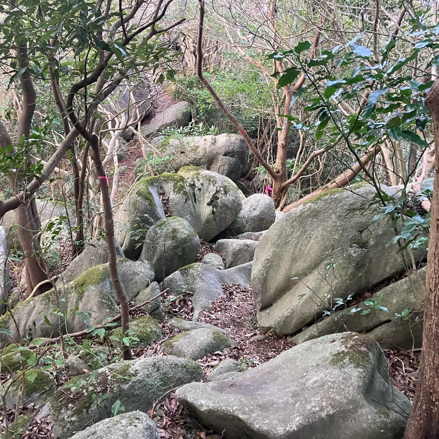 塔ヶ峯からの絶景✨