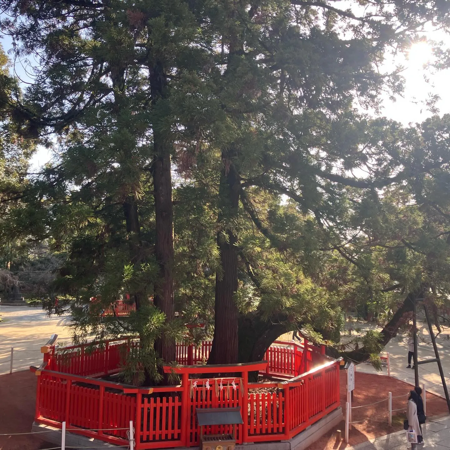 福岡の魅力をSNSで発信する @fukutabi_kyush...