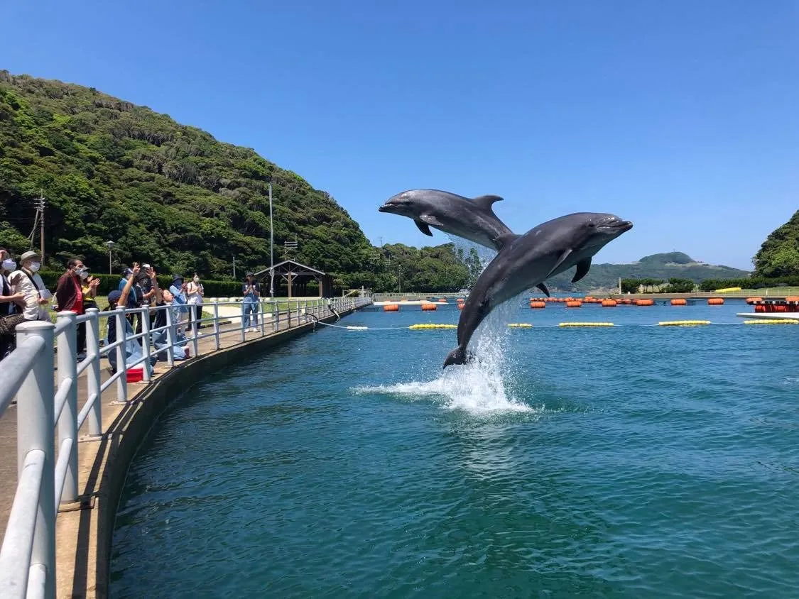 イルカパーク＆リゾート