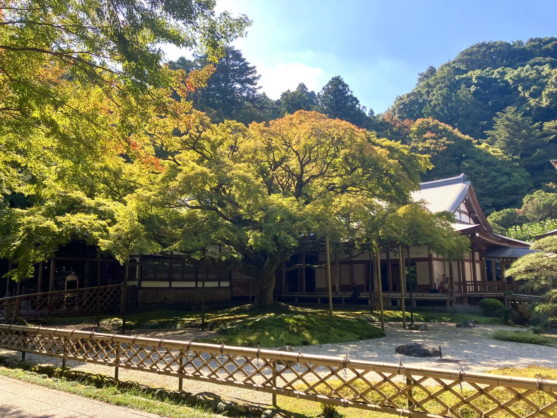 雷山千如寺大悲王院