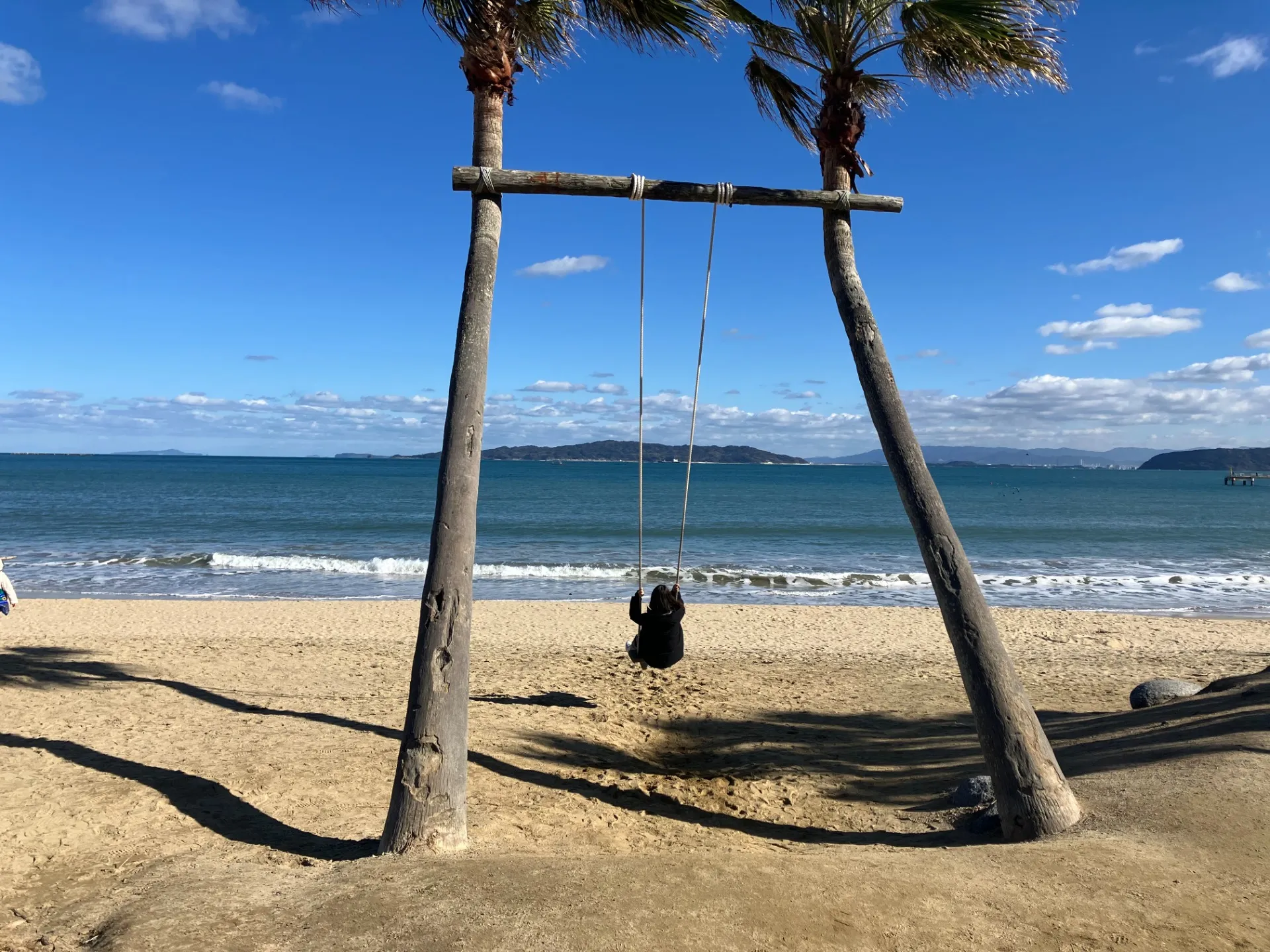 椰子の木ブランコ