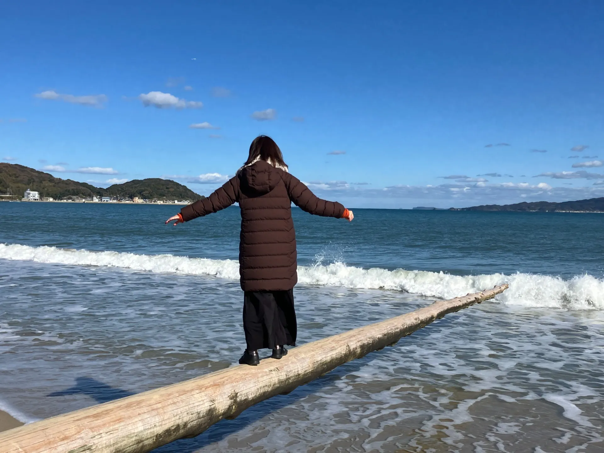 椰子の木ブランコ<br>奇跡の流木