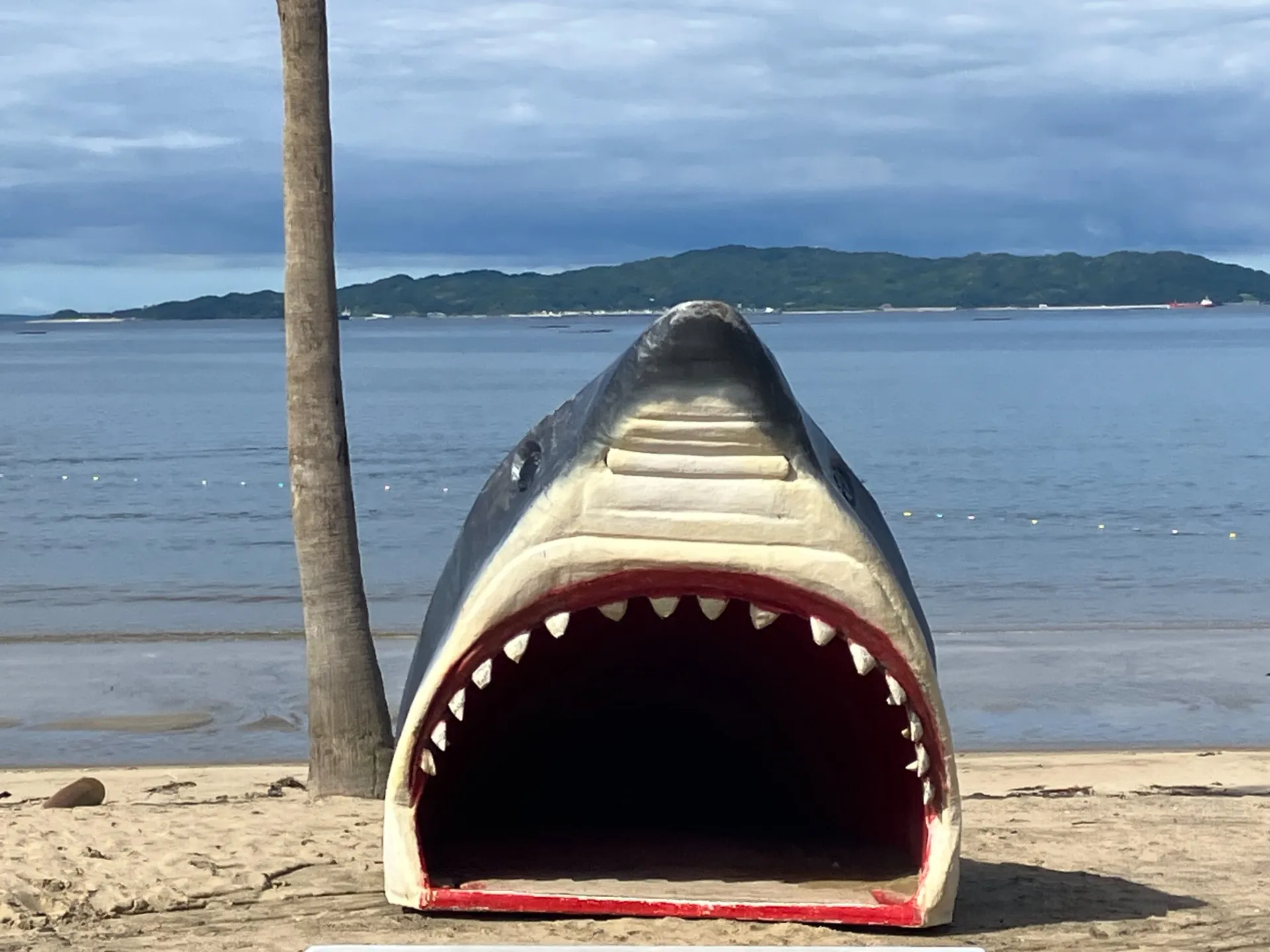 椰子の木ブランコ<br>SNS映えジョーズ！