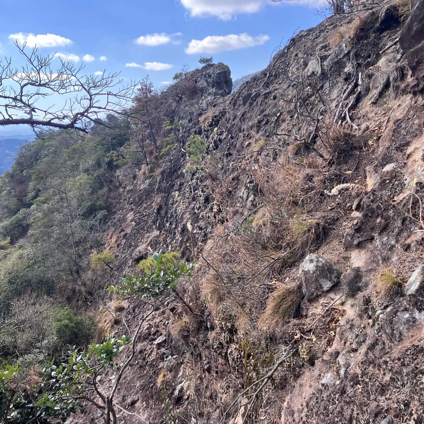 国東半島の鬼城👹は、人が滅多に登らない岩峰⛰️