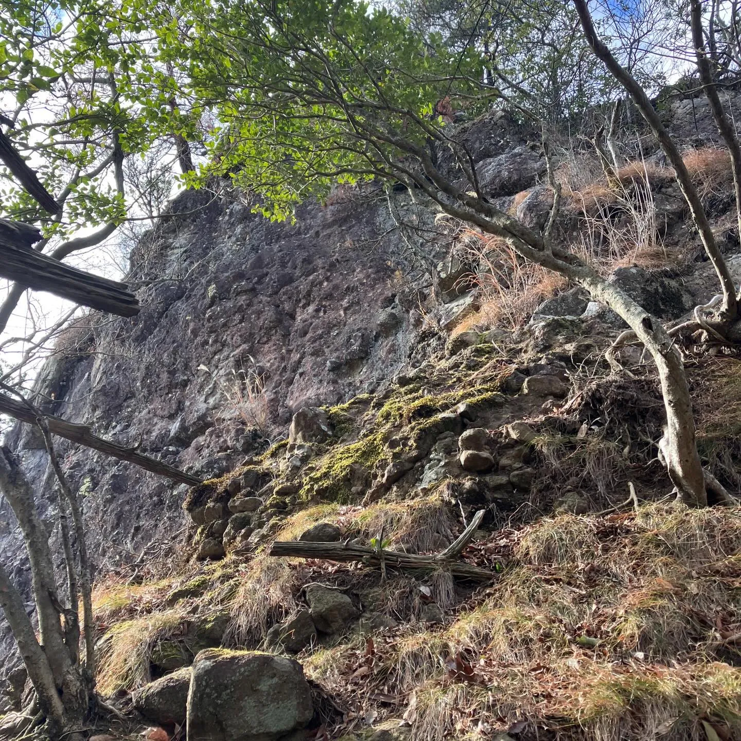 国東半島の鬼城👹は、人が滅多に登らない岩峰⛰️
