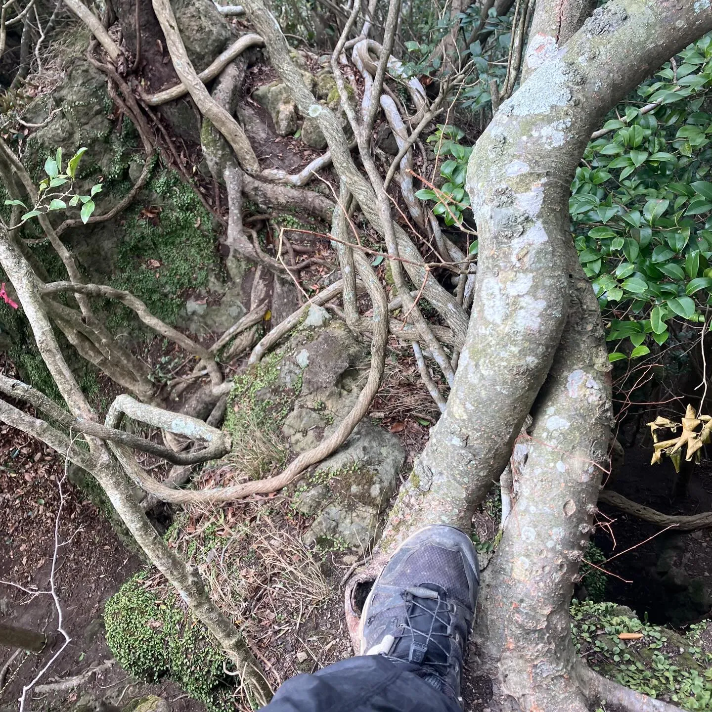 国東半島の鬼城👹