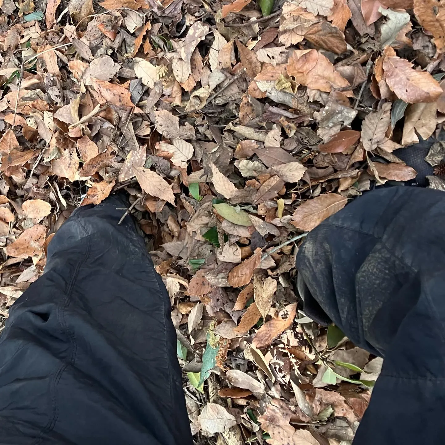 国東半島の鬼城👹