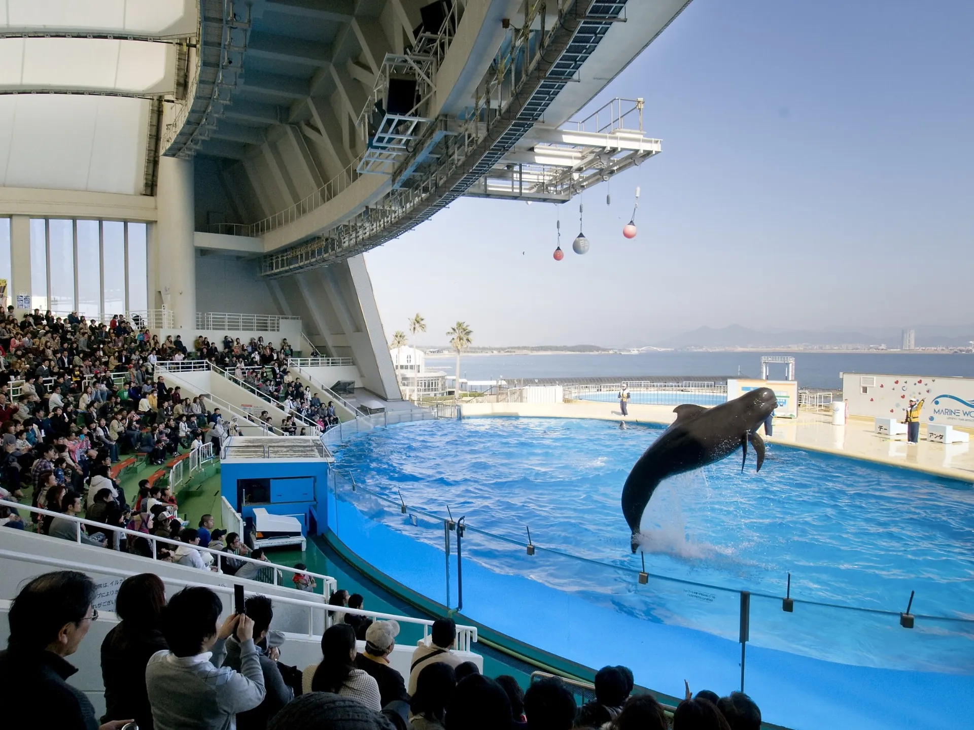 志賀島一周＆マリンワールド海の中道入場券付き・ガイド付き貸切ハイヤー利用
