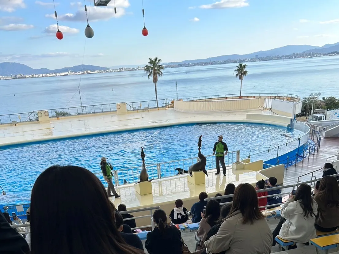 マリンワールド海の中道 イルカ＆アシカショー