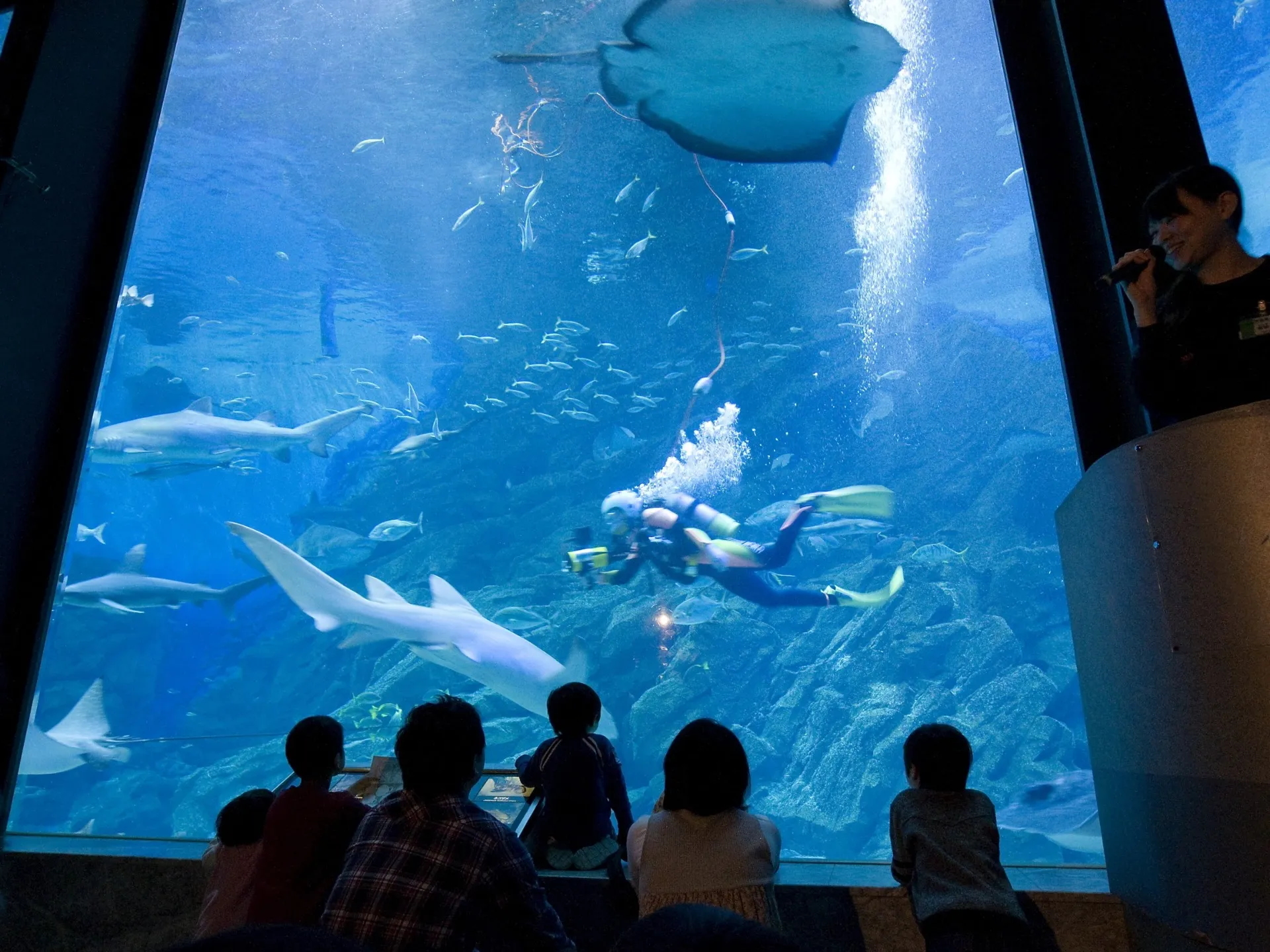 マリンワールド海の中道