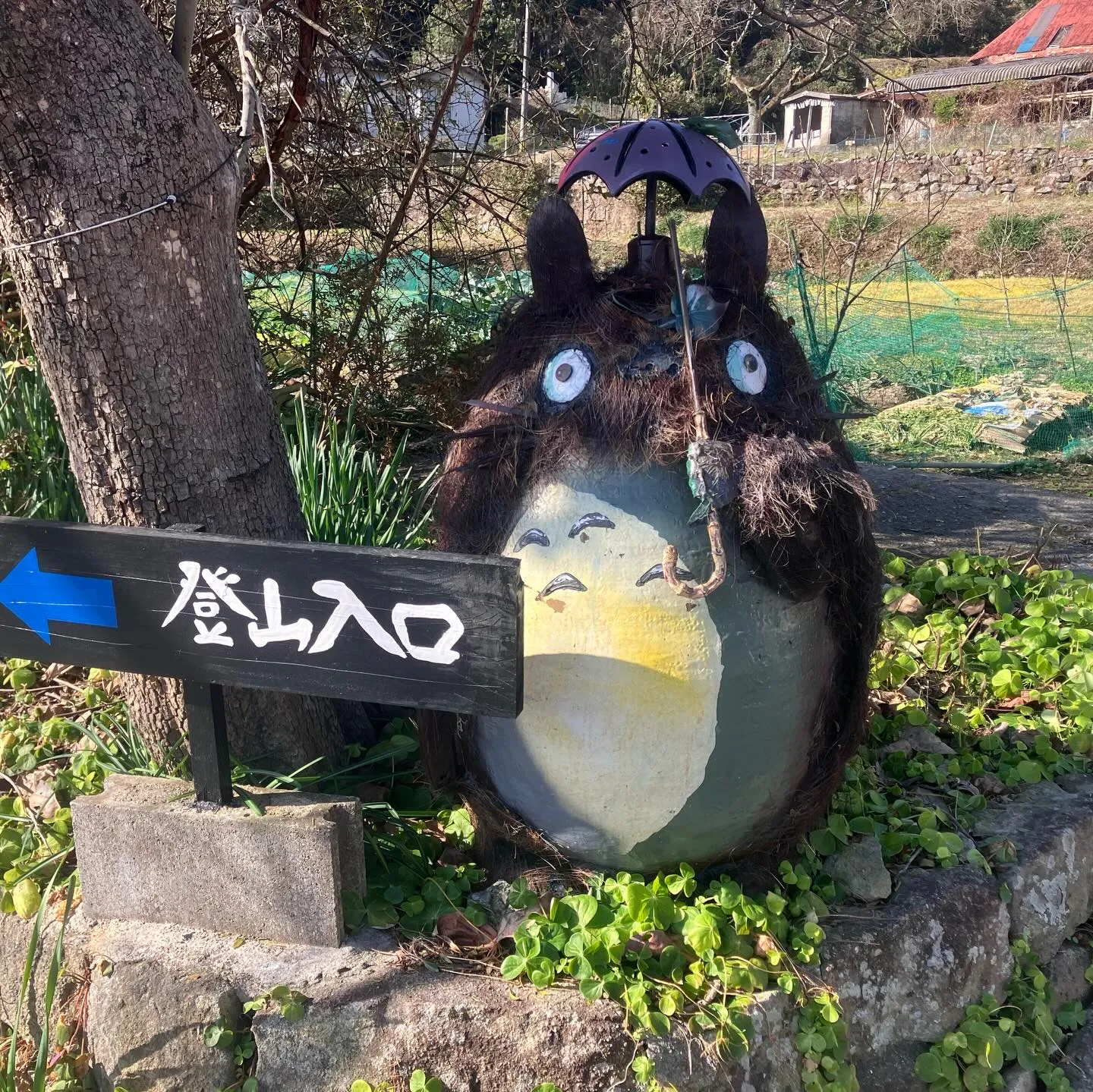 寒いの苦手なんで海の見える低山へ🚶‍➡️