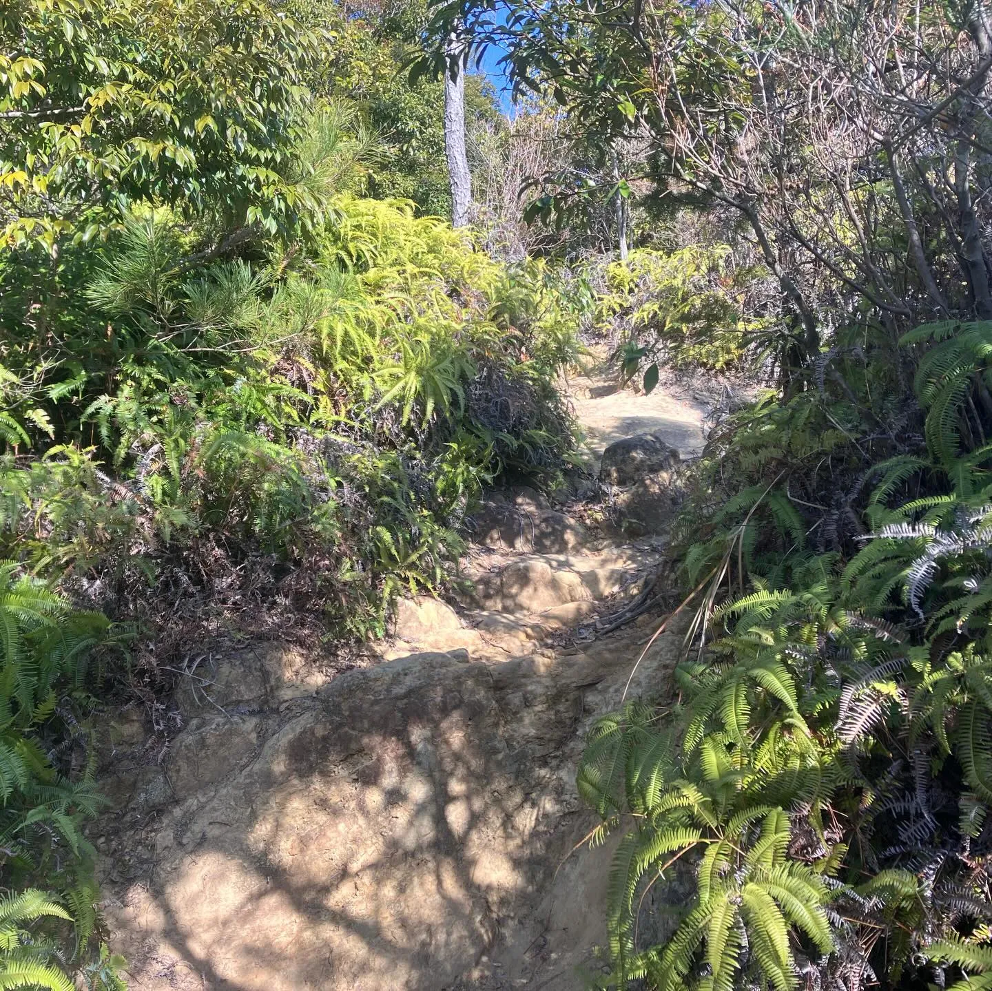 寒いの苦手なんで海の見える低山へ🚶‍➡️