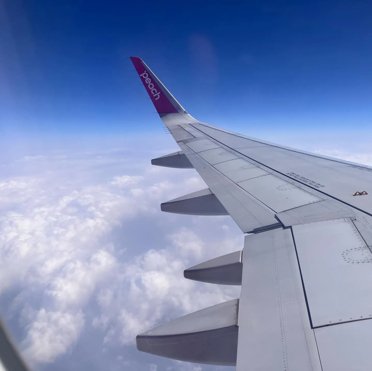 総選挙で私の出来る応援も終わり結果を待つだけになり、10人で...