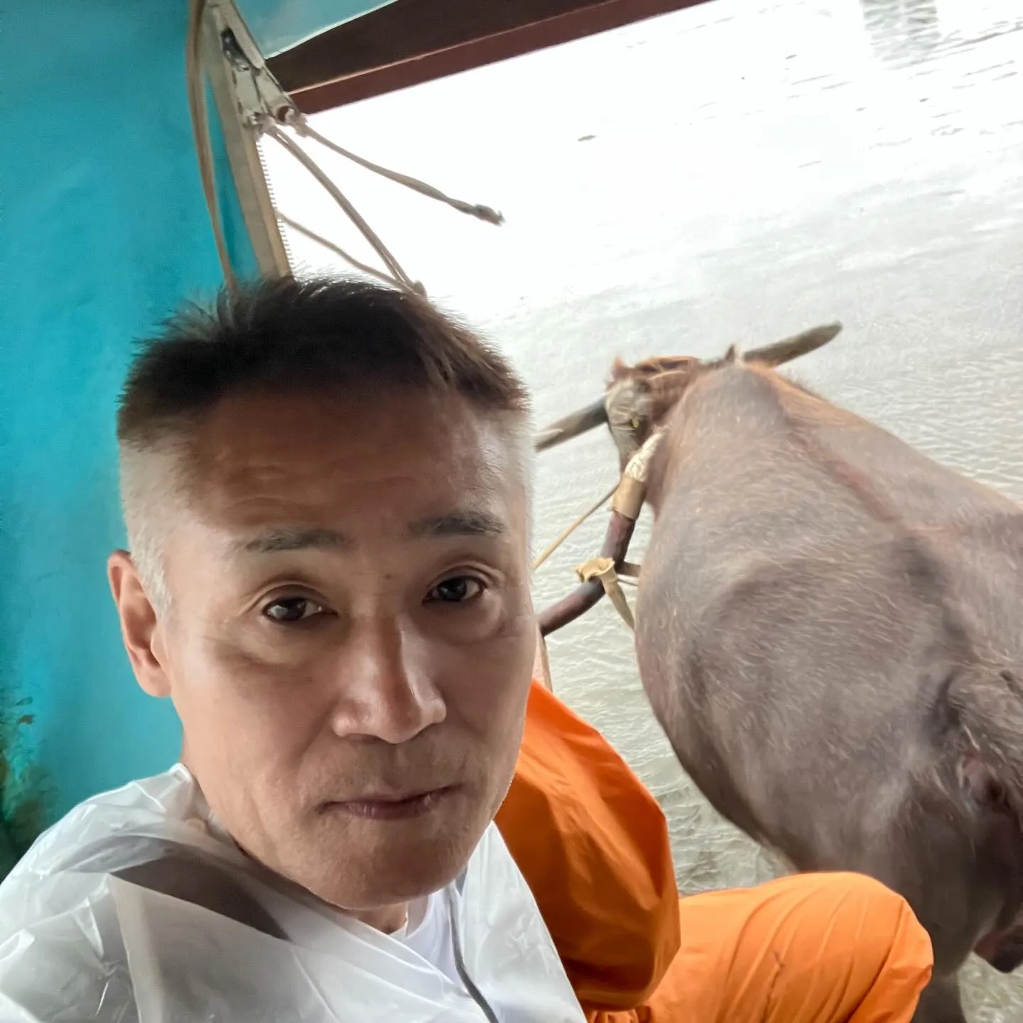 西表島から由布島へは水牛さんにお任せ🐃