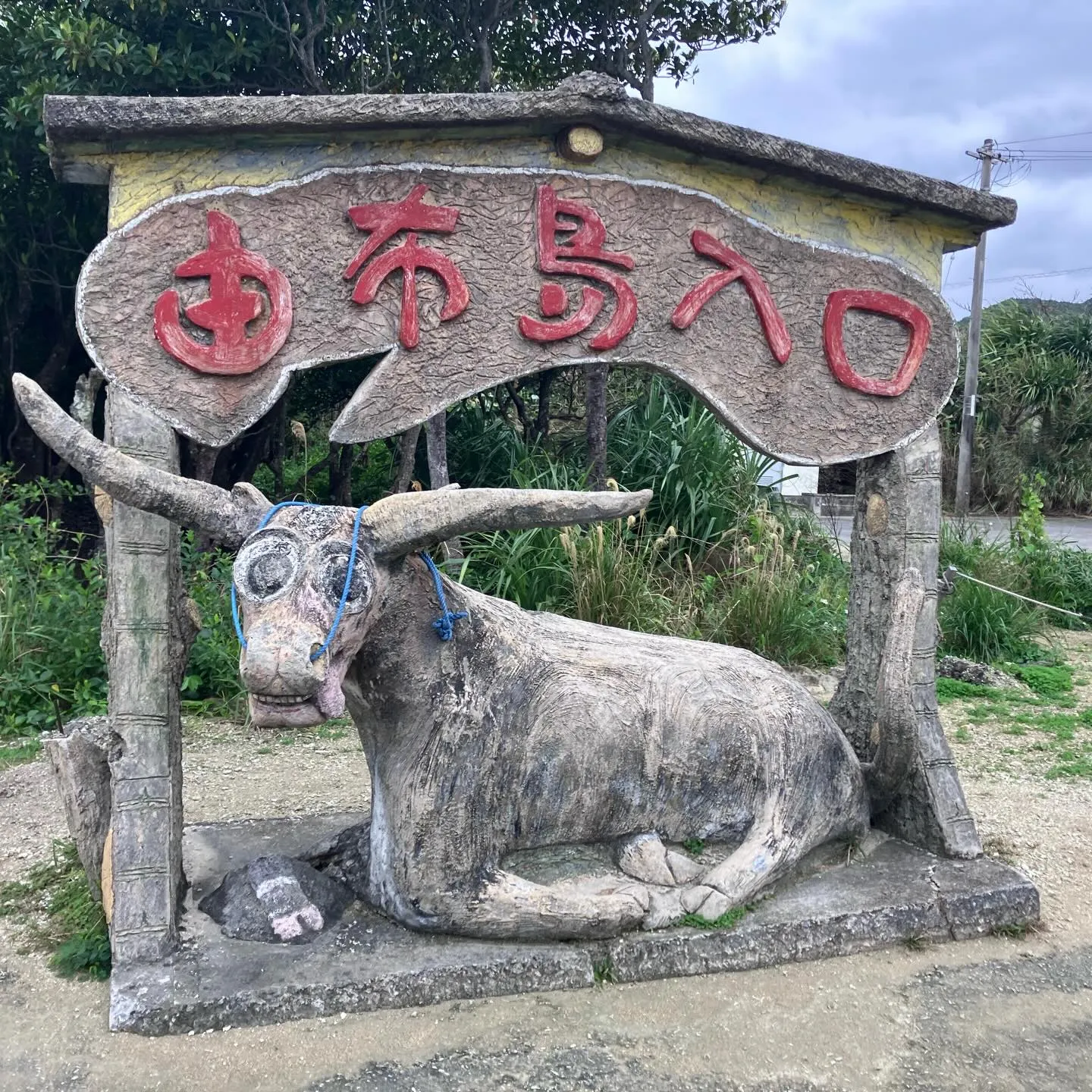 西表島から由布島へは水牛さんにお任せ🐃
