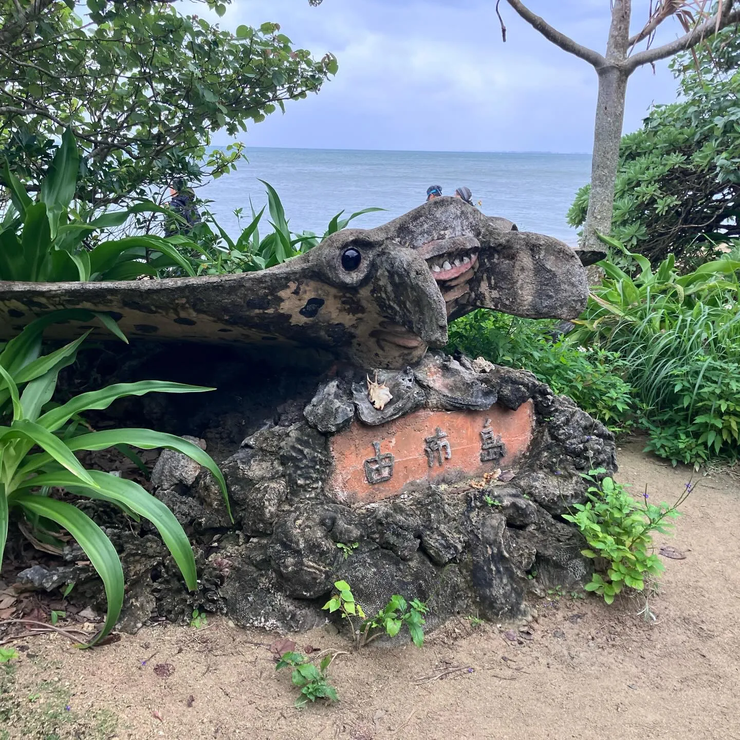 西表島から水牛さんに運んで貰った由布島🏝️