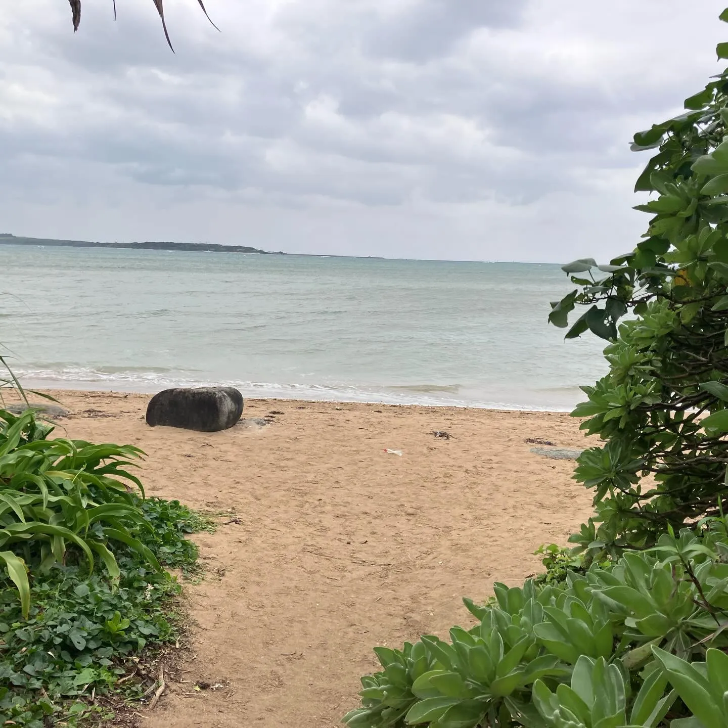 西表島から水牛さんに運んで貰った由布島🏝️
