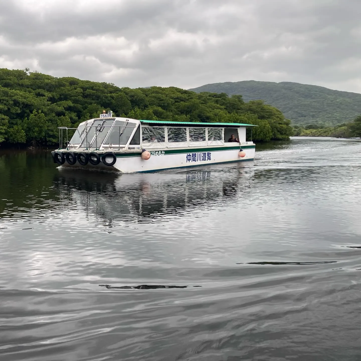西表島の仲間川マングローブクルーズ🛳️