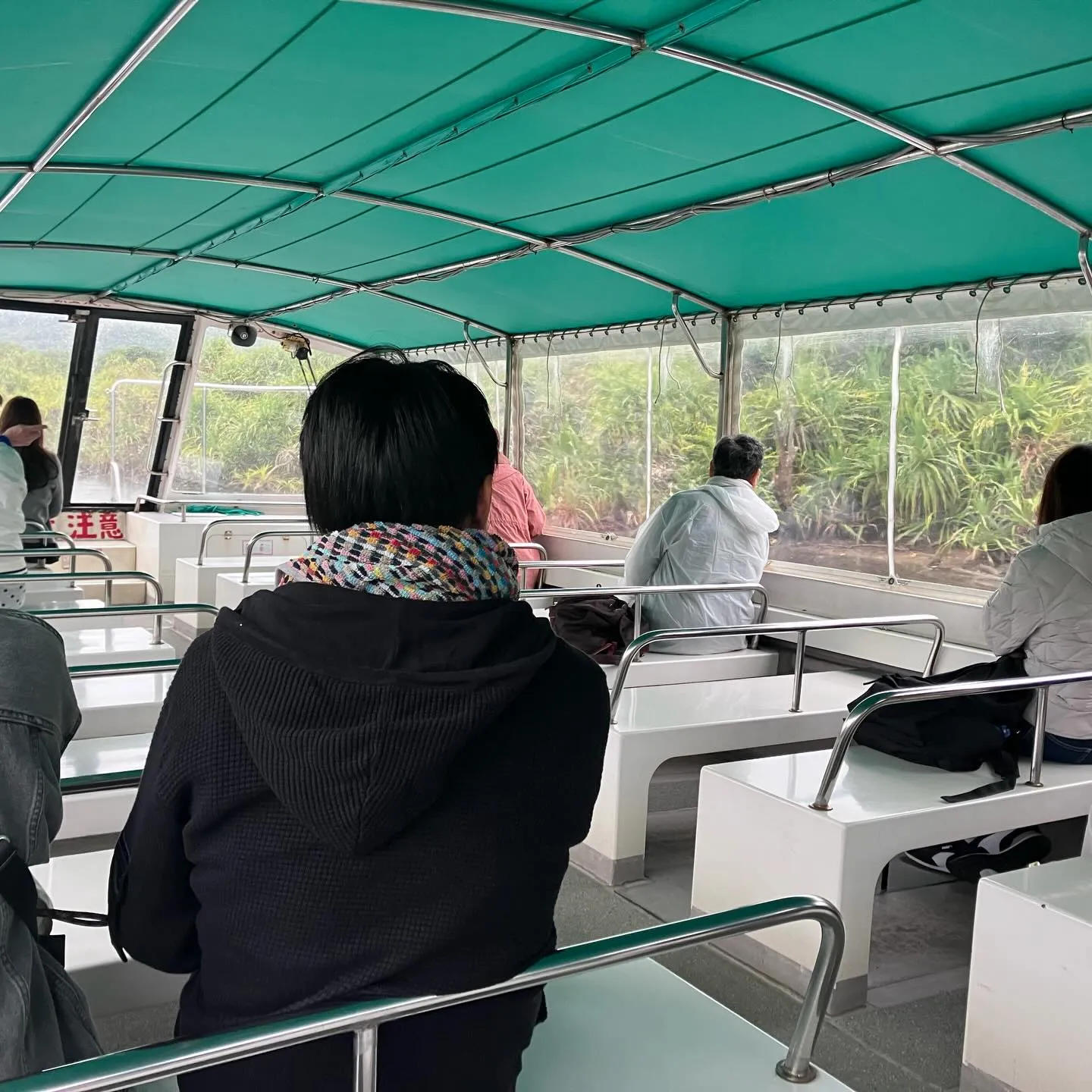 西表島の仲間川マングローブクルーズ🛳️