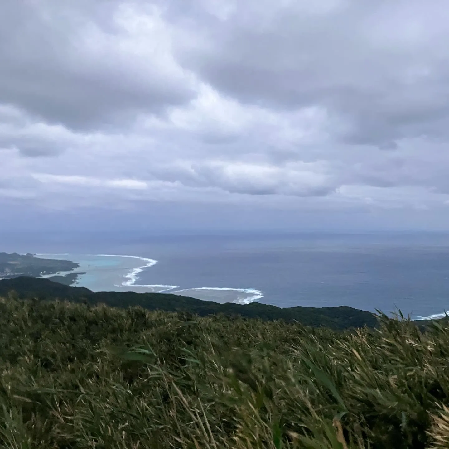 沖縄県の最高峰 石垣島の於茂登岳(おもとだけ)⛰️‼️
