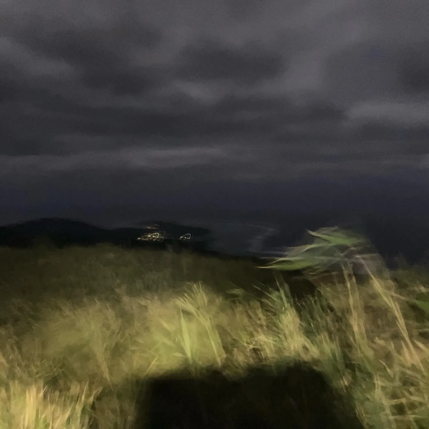 沖縄県の最高峰 石垣島の於茂登岳(おもとだけ)⛰️‼️